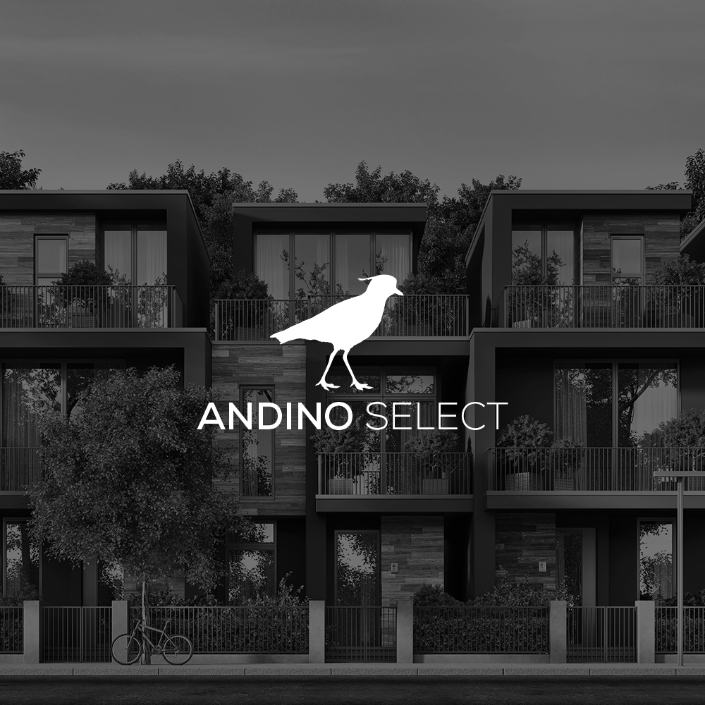 Andino Select Final